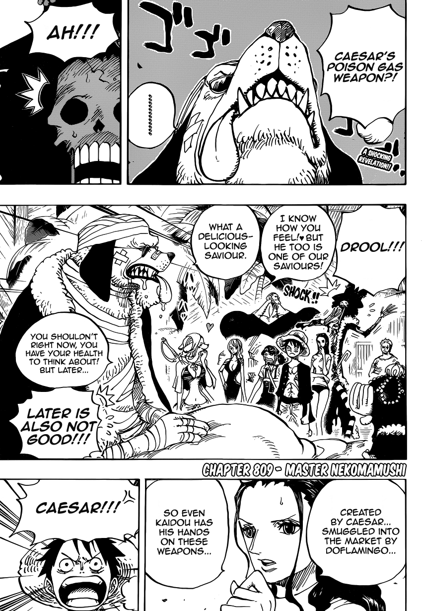 One Piece, Chapter 809 image 04